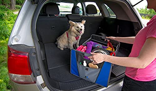 SUV Trunk Organizer and Car Interior Detailing Set - Busy Life Foldable  Organizer Plus Car Detailing Kit