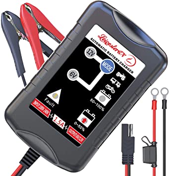 LST Trickle Battery Charger And Automatic Maintainer Review
