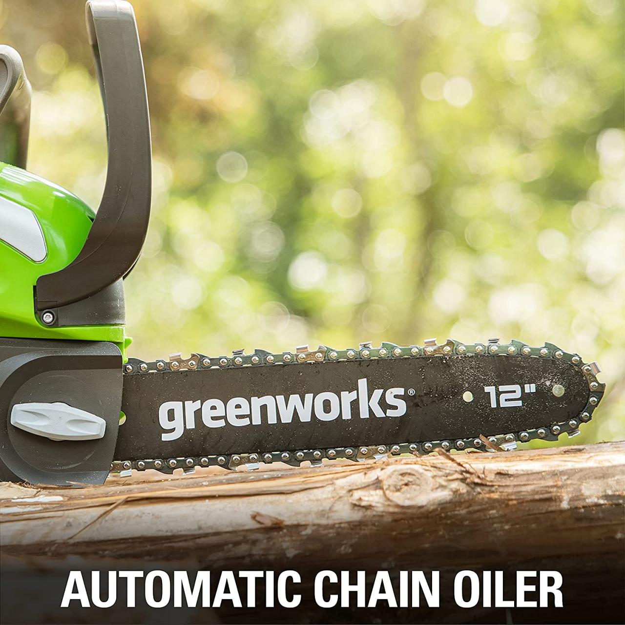 Buy GreenWorks 40V 12-Inch Cordless Chainsaw, Tool Only, 20292 Online in  Hong Kong. B00D3KJLZ4