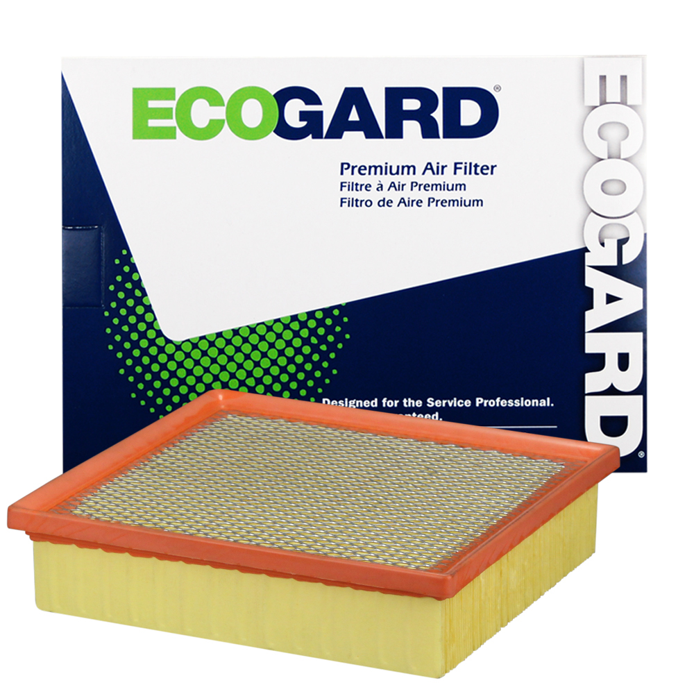 Ecogard XA5560 Premium Air Filter | eBay