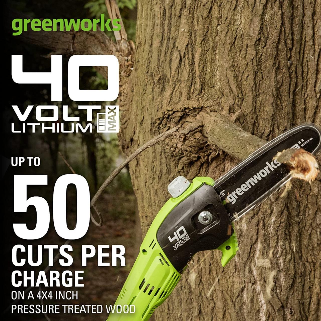 Buy Greenworks 40V 8 inch Cordless Pole Saw Battery and Charger Not  Included, New Style PS40B00 Online in Vietnam. B07M9YC1D2