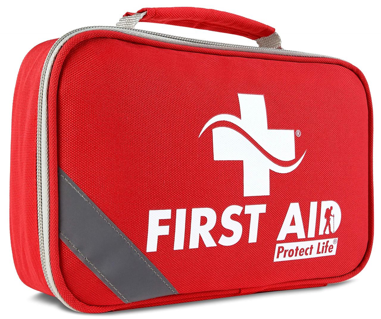2-in-1 First Aid Kit for Car - 250 Piece - First Aid Kits for Businesses |  Home First Aid Kit, Bonus Mini 1st Aid Kit, Emergency Supplies for Travel,  Workplace & More-