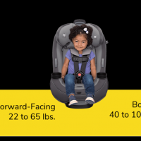 Grow and Go™ All-in-One Convertible Car Seat - Raddl