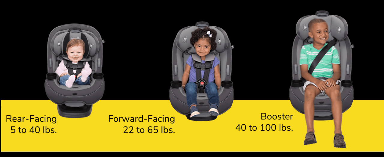 Grow and Go™ All-in-One Convertible Car Seat - Raddl
