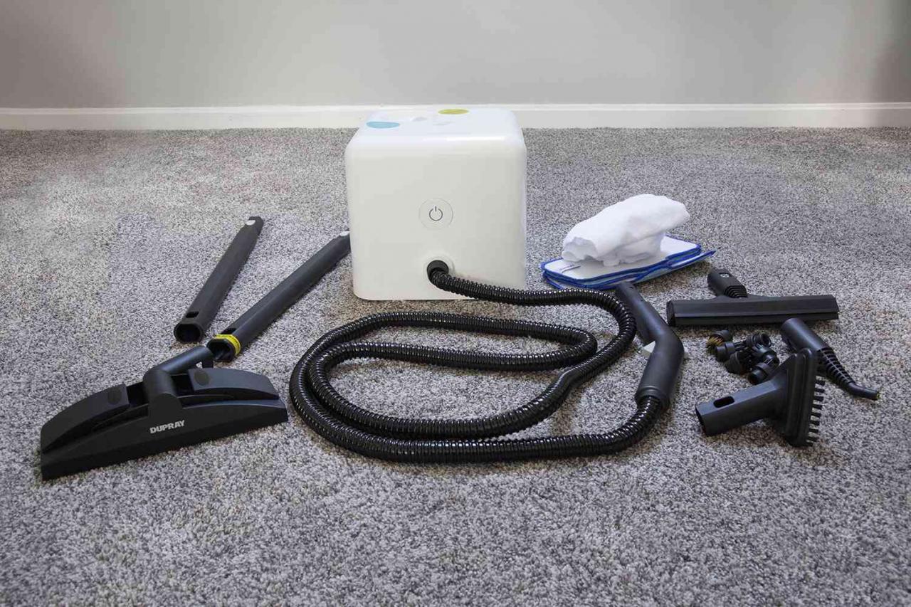Dupray NEAT Steam Cleaner Review: Deep Clean in Seconds