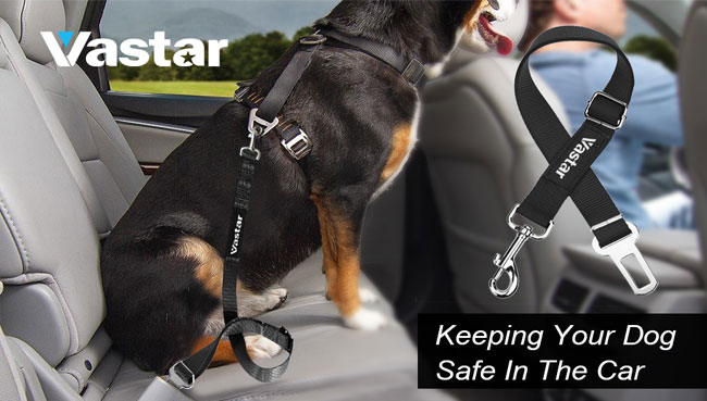 Vastar Adjustable Pet Dog Cat Safety Leads Car Vehicle Seat Belt Harness  Seatbelt, Made from Nylon Fabric