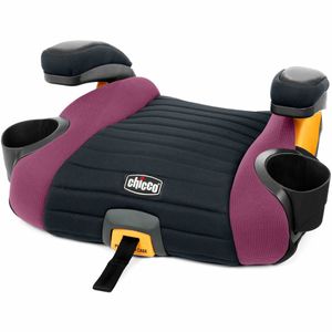 Chicco GoFit Plus Belt Positioning Booster Car Seat - Iron