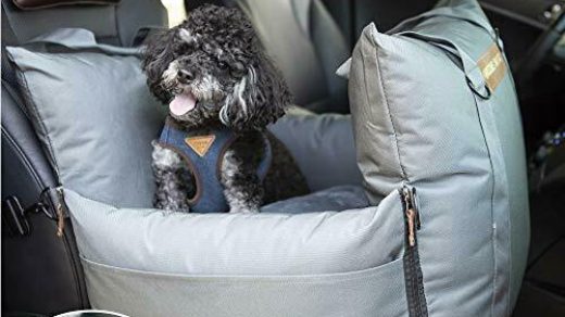 QUEENS NOSE Dog Car Seat for Front & Back Seat - Dog Booster Seat with  Safety... - instrasol.com