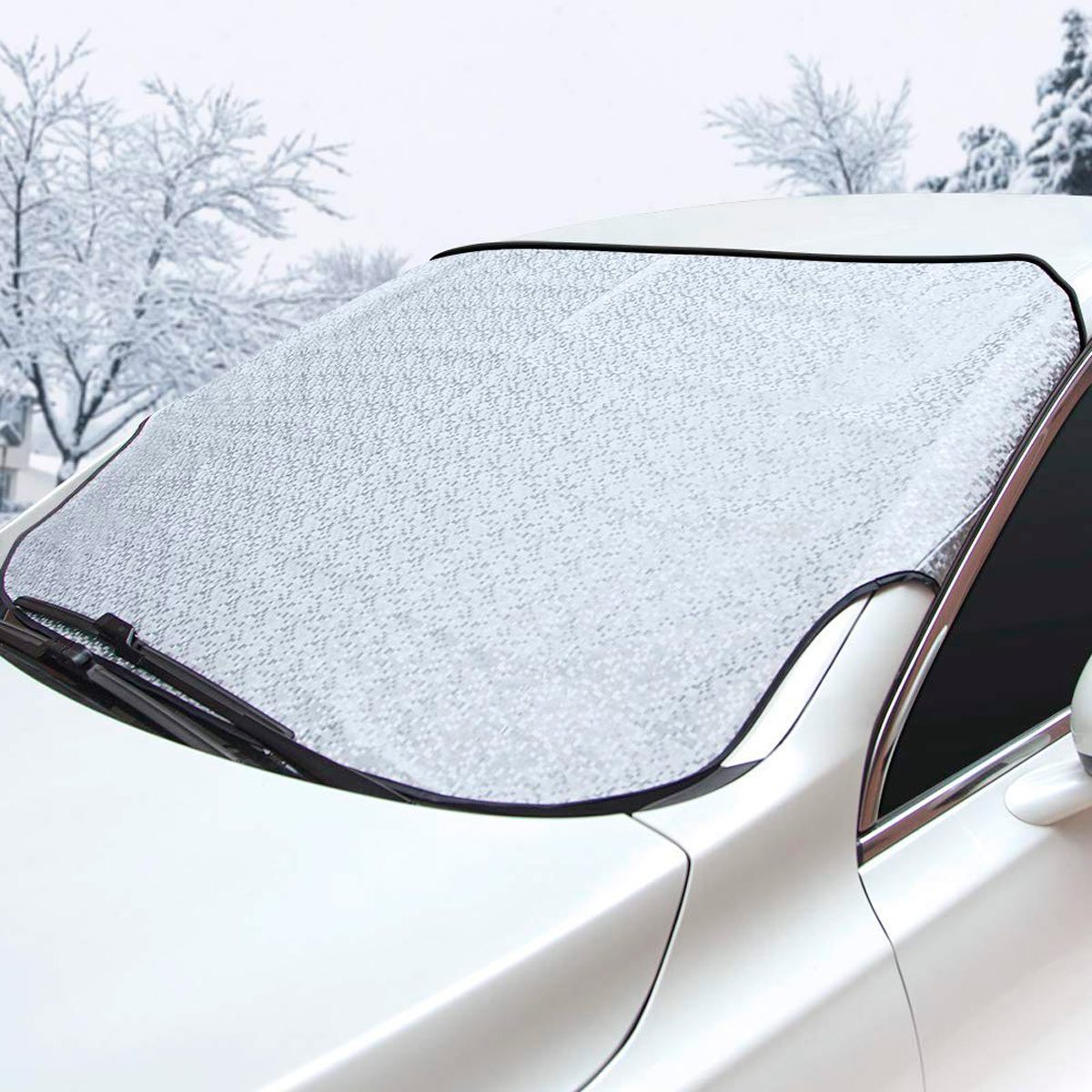 How to Never Scrape Your Windshield Again | Family Handyman