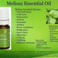 Melissa | Living essentials oils, Melissa essential oil, Essential oils