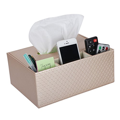 Robasiom Multifunction PU Leather Pen Pencil Remote Control Tissue Box  Cover Holder Desk Storage Box Container for Home and Office Use(Champagne)-  Buy Online in Antigua and Barbuda at Desertcart - 112539563.