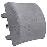 LoveHome Memory Foam Lumbar Support Back Cushion with 3D Mesh Cover  Balanced Firmness Designed for Lower Back Pain Relief- Ideal Back Pillow  for Computer/Office Chair, Car Seat, Recliner etc. - Black :