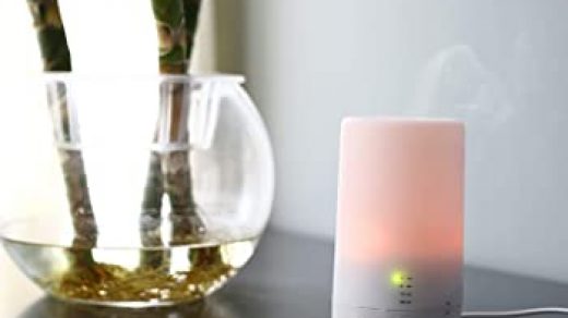 Top 10 Best Portable Essential Oil Diffusers in 2021 - 10bees