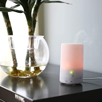 Top 10 Best Portable Essential Oil Diffusers in 2021 - 10bees