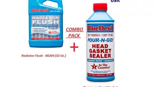 Combo Pack - Blue Devil Pour-n-go Head Gasket Sealer - 00209 (16 Oz.) & Radiator  Flush - 00204 (32 Oz.)- Buy Online in India at Desertcart - 21797547.