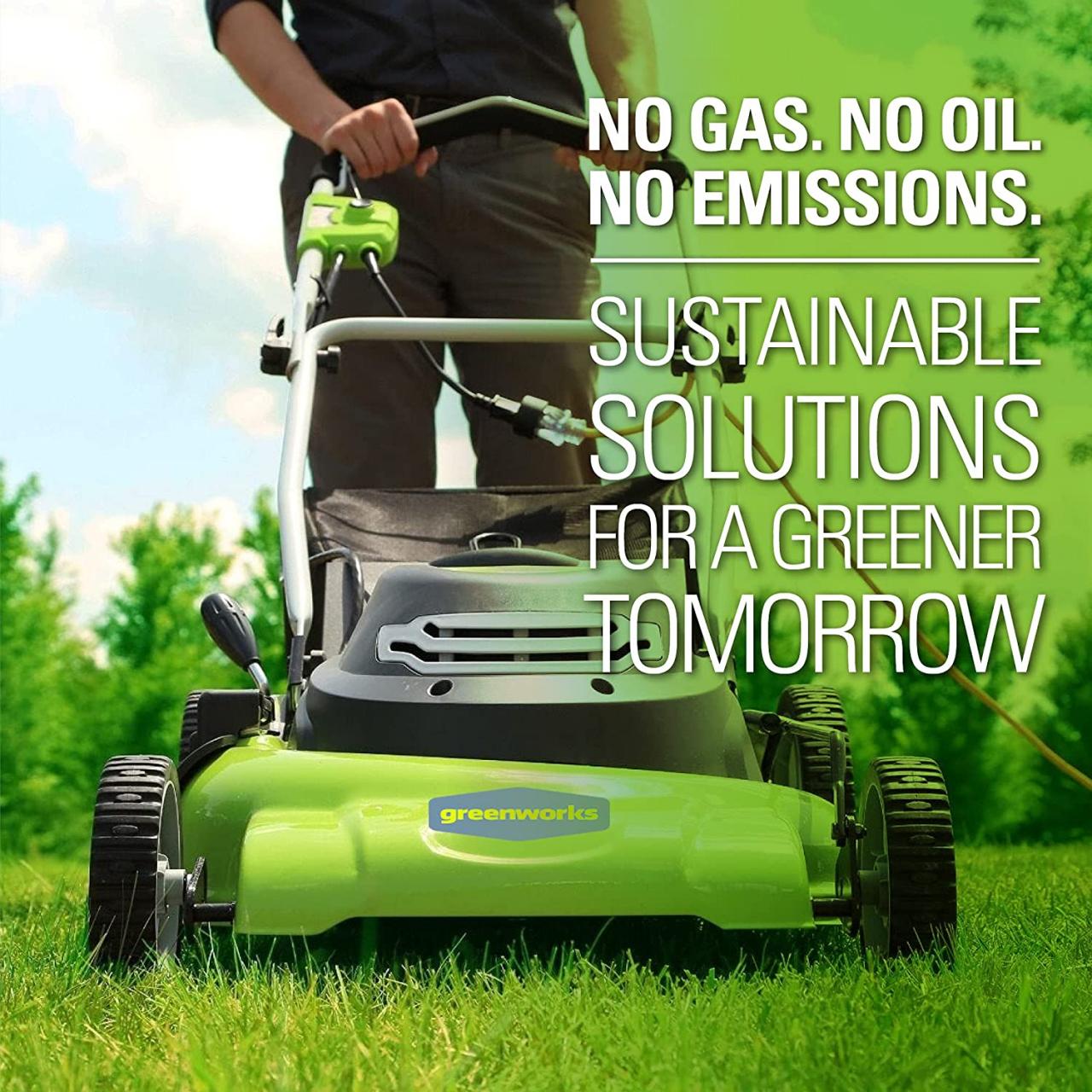 Buy Greenworks 13 Amp 21-Inch Electric Lawn Mower, MO13B00 Online in  Vietnam. B01MZACNKY