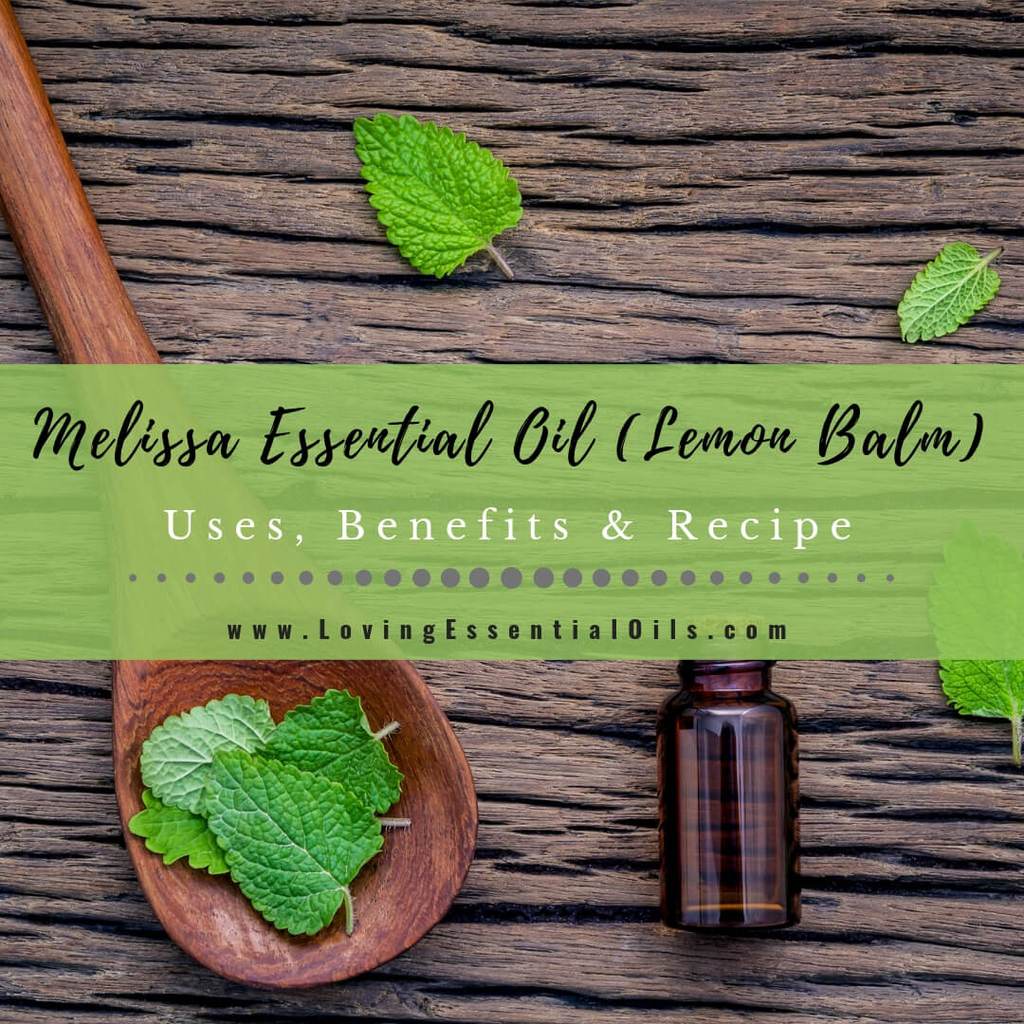 Melissa Essential Oil: 25+ Uses & Benefits | Fresh Mommy Blog