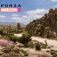 Forza Horizon 5 Announce FAQ – Forza Support