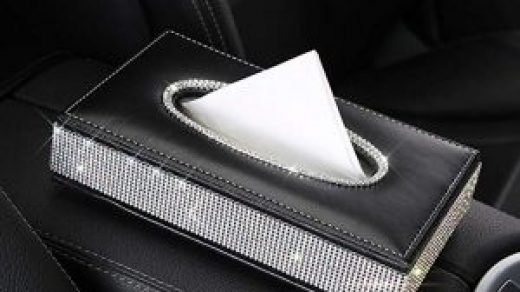 The 10 Car Tissue Holders to Keep Your Car Neat and Organized - SpaceMazing