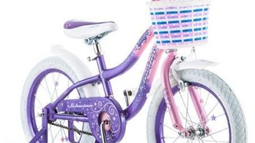 Kids' Bicycles - Best Seller Bike for Children 16 Schwinn Twilight Girls  Bike PinkPurple Schwinn easytopedal Easy Adjustable S… | Kids bike, Kids  bicycle, Schwinn