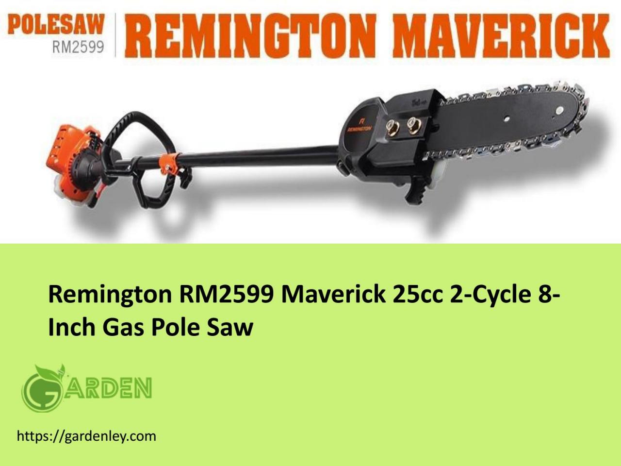 Remington RM2599 Maverick 25cc 2-Cycle 8-Inch Gas Pole Saw by gardenley -  issuu