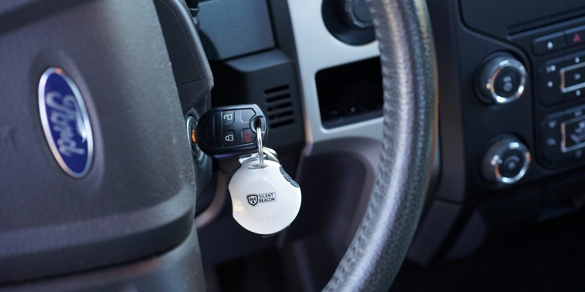 Car Anti-Theft Devices: 8 Tips to Follow in Vehicle Theft Prevention Month