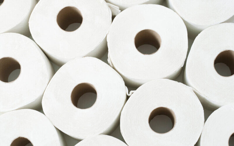 Do You Need RV Toilet Paper? Hoax or Shrewd Reality?