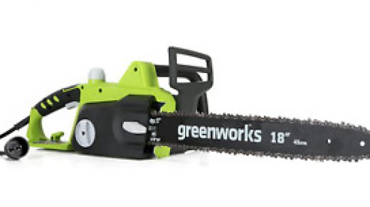 Buy Greenworks 6.5 Amp 8 inch Corded Electric Pole Saw Online in  Bangladesh. B00B2XC962