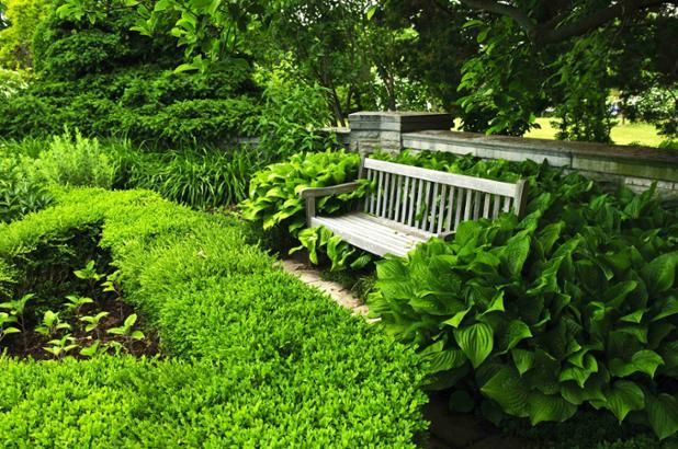 How To Use Different Plants In Your Landscape Design | Stone landscaping,  Small garden landscape design, Shade garden