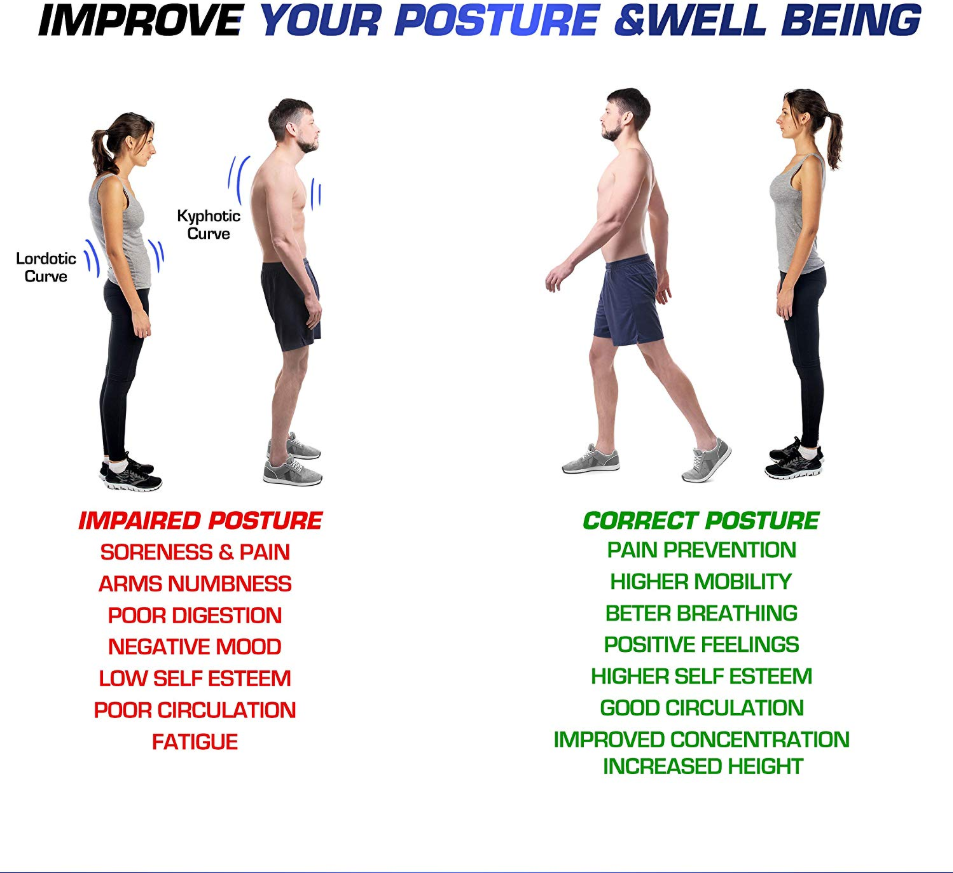 Truweo Posture Brace | Truweo Posture Corrector Truweo Corrector Back Brace  for Men And Women Pain Relief Tutorial Reviews